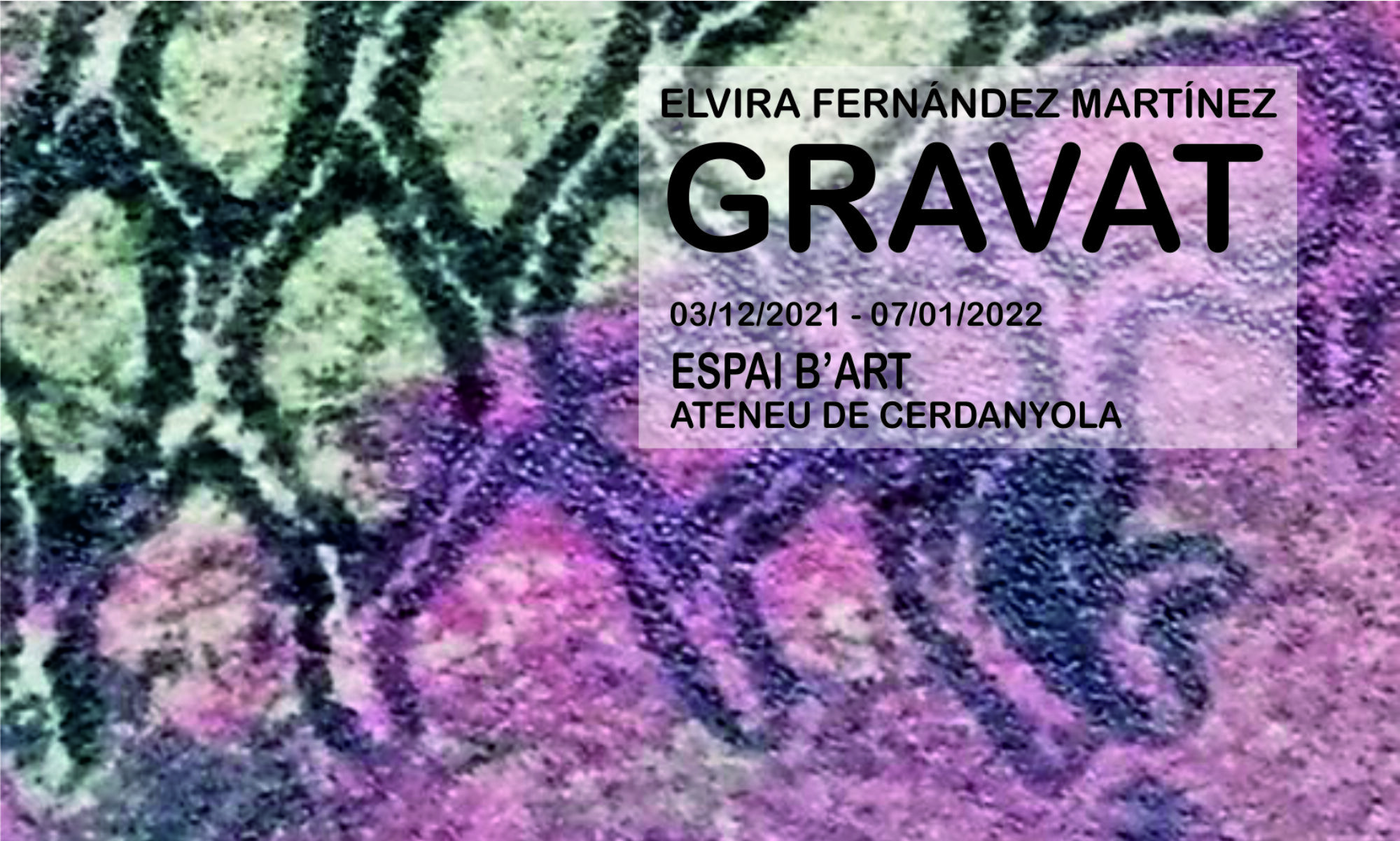 Artistes Plàstics de Cerdanyola